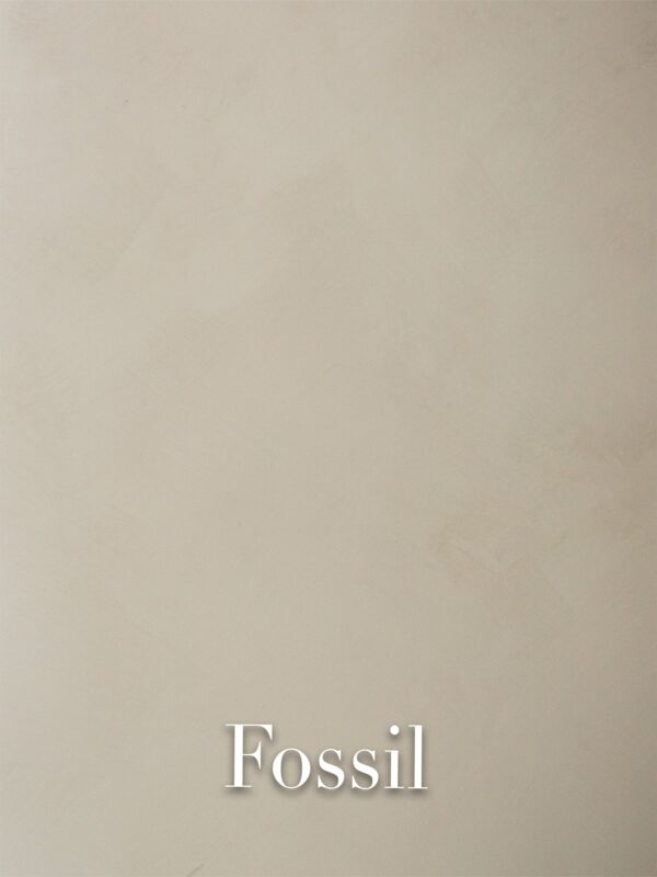 Kalklitir limewash Fossil