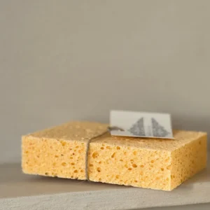 Aplikačná špongia Kalklitir pre omiektovú farbu Plaster Paint