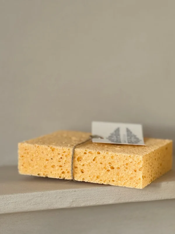 Aplikačná špongia Kalklitir pre omiektovú farbu Plaster Paint