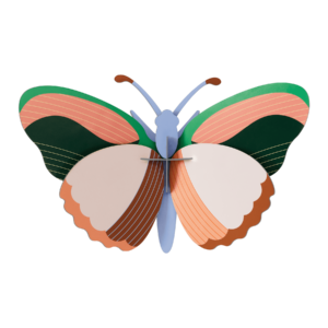 Motýľ Sycamora - Farebné nástenné dekorácie