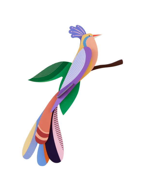 "Bisa" - Paradise Bird - Farebné nástenné dekorácie