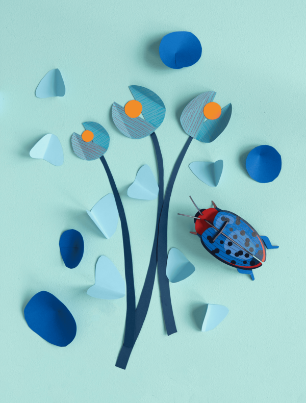 Lesknáčik - Fungus Beetle - Farebné nástenné dekorácie - Image 2