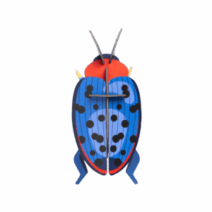 Lesknáčik - Fungus Beetle - Farebné nástenné dekorácie