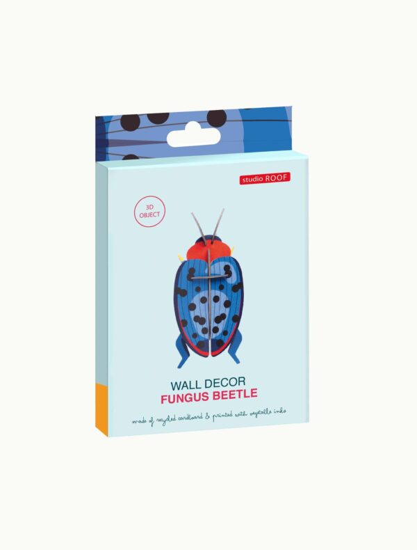 Lesknáčik - Fungus Beetle - Farebné nástenné dekorácie - Image 5