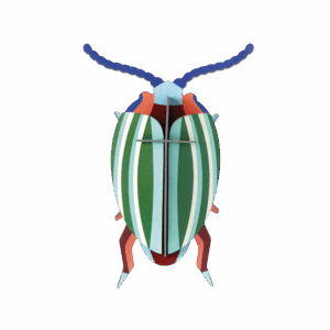 Dúhový chrobák - Rainbow Leaf Beetle - Farebné nástenné dekorácie