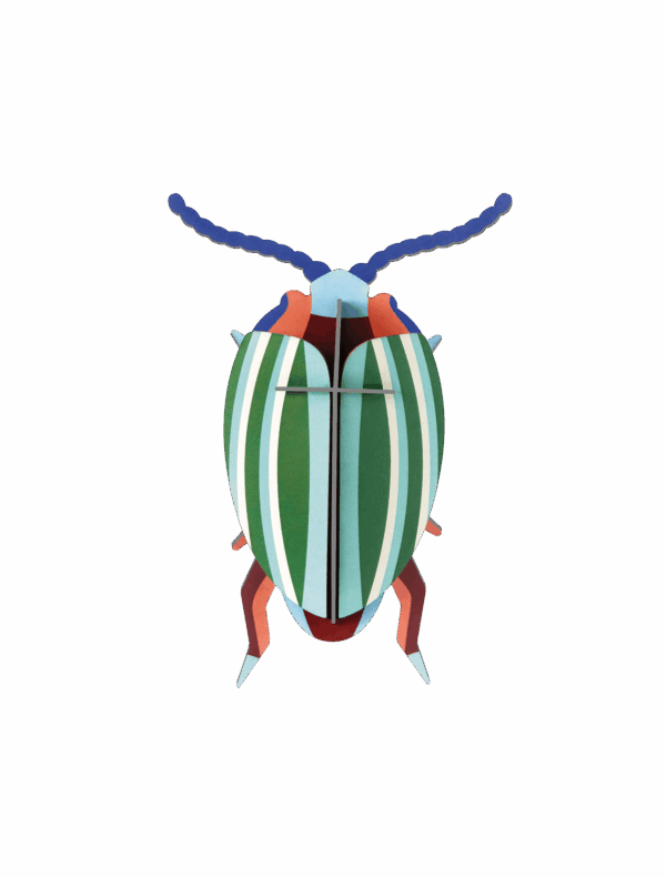 Dúhový chrobák - Rainbow Leaf Beetle - Farebné nástenné dekorácie