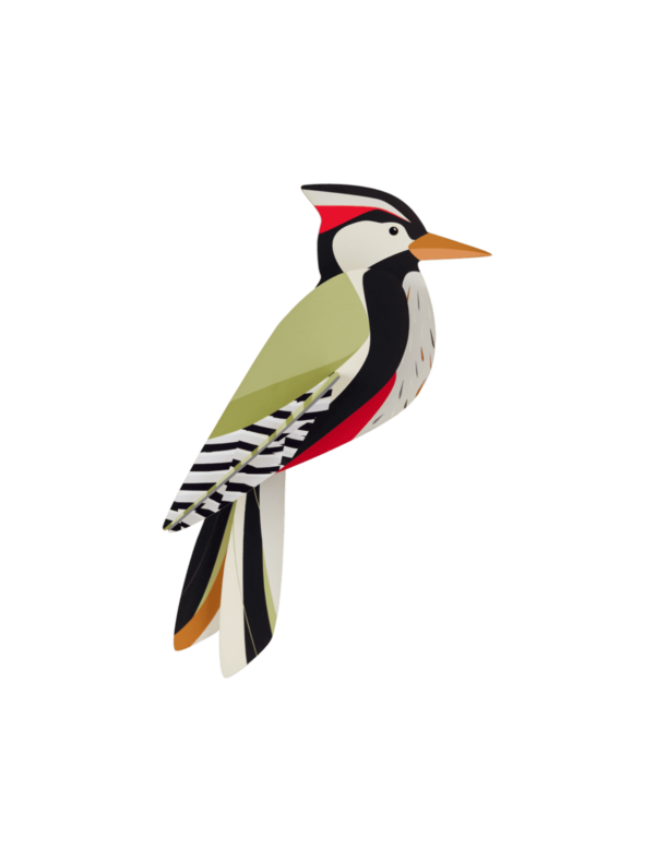 Ďateľ - Woodpecker - Farebné nástenné dekorácie
