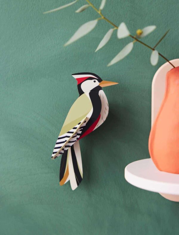 Ďateľ - Woodpecker - Farebné nástenné dekorácie - Image 2