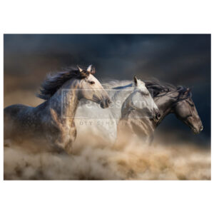 dekupážový papier kone